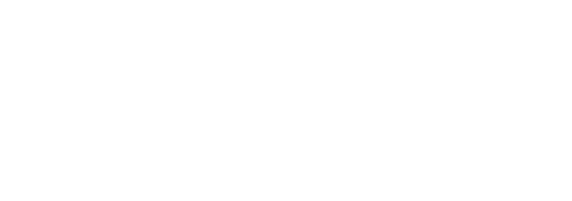 SDP Holding
